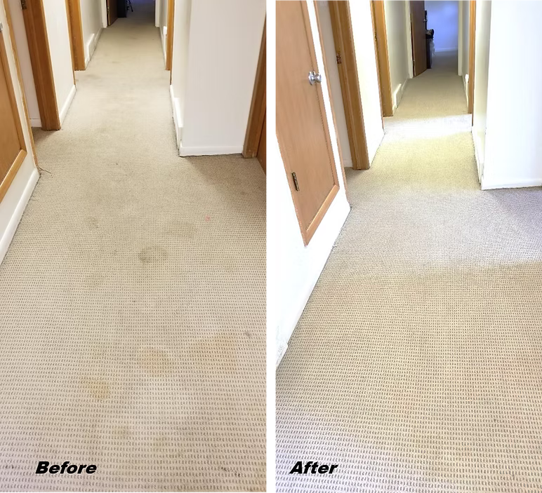 Carpet Cleaning